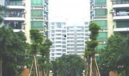 嘉禾新城最新爆料,揭秘未来城市生活新地标！